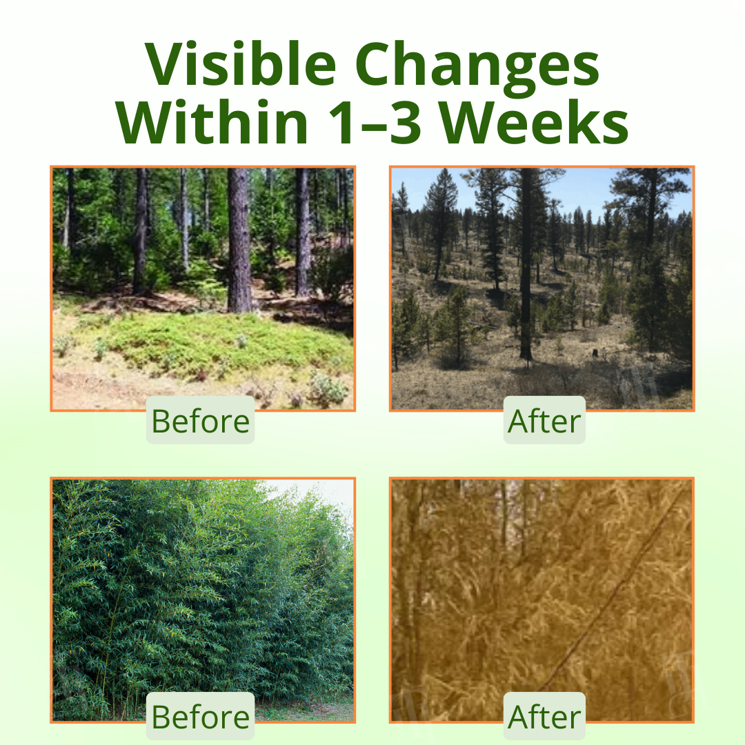 šThe Last 50, Limited Time Sale: AEXZRĀ® Cyclosinone Herbicide Granules