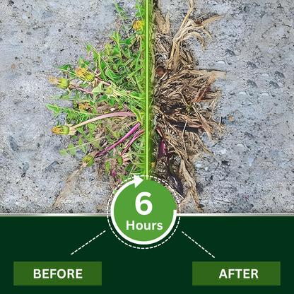 🏆 Top Pick｜AEXZR® 2 in 1 Max Power Herbicide