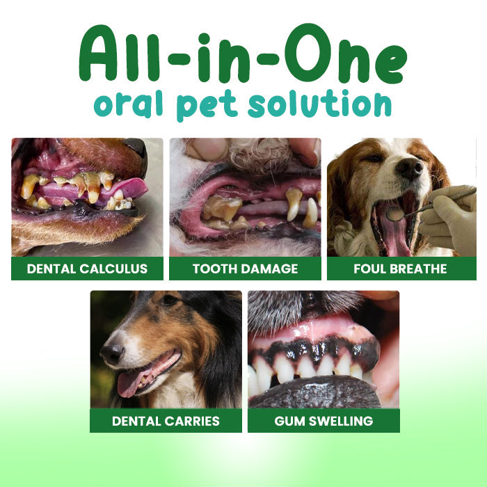 🏆✨RZXEA™ FreshBreath Pet Oral Care Spray – 🦷3-Day Fresh Breath Solution 🐾