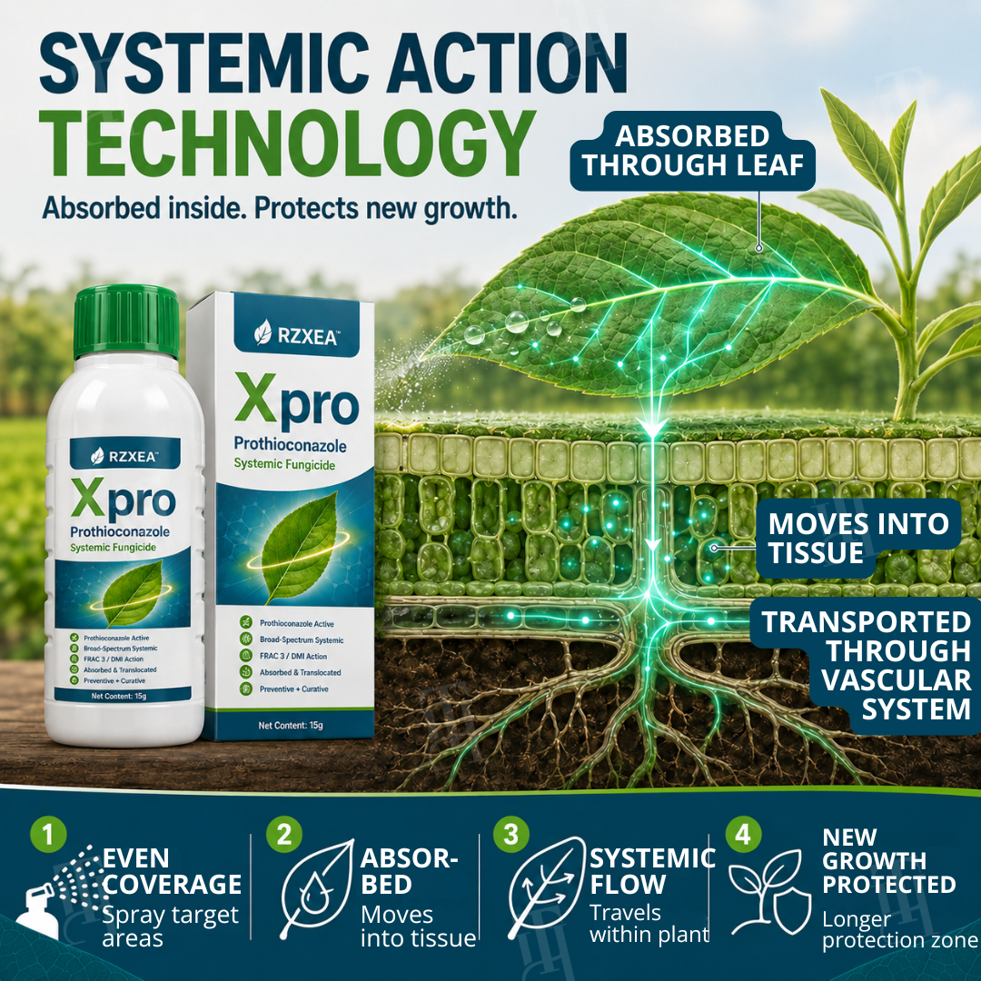 🏆Official Store | Limited Edition RZXEA™  Xpro Prothioconazole Systemic Fungicide