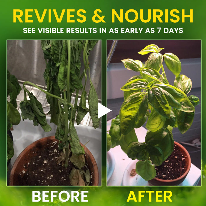 🏆Official Store | AEXZR® 2 in 1 Vita-Enzyme 🌱 Repair & Nourish Plants🌿