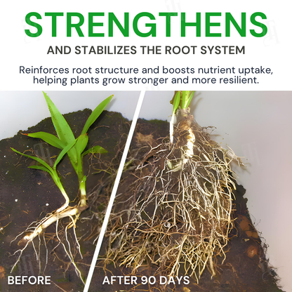 🌿AEXZR® Max-Power Fulvic Acids Fertilizer Sticks💧90-Day Continuous Plant Nutrition🌱