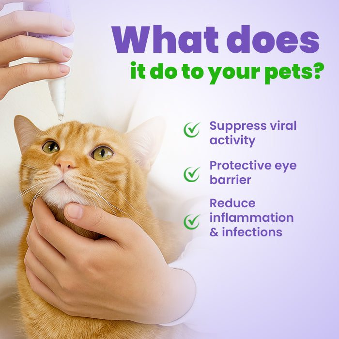 🐾🛡️Lotmay® PetPro Eye Drops-😾Daily L-Lysine Drops for Feline Herpes & Eye Care🐾