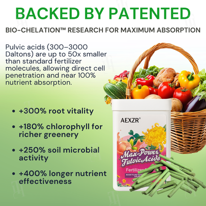 🌿AEXZR® Max-Power Fulvic Acids Fertilizer Sticks💧90-Day Continuous Plant Nutrition🌱