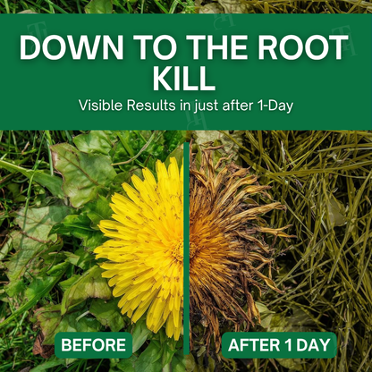🏆AEXZR® 3 in 1 Max Power Herbicide Kill Weeds DEAD in 24 Hours – Organic, Pet-Safe Garden Guardian! 🔥