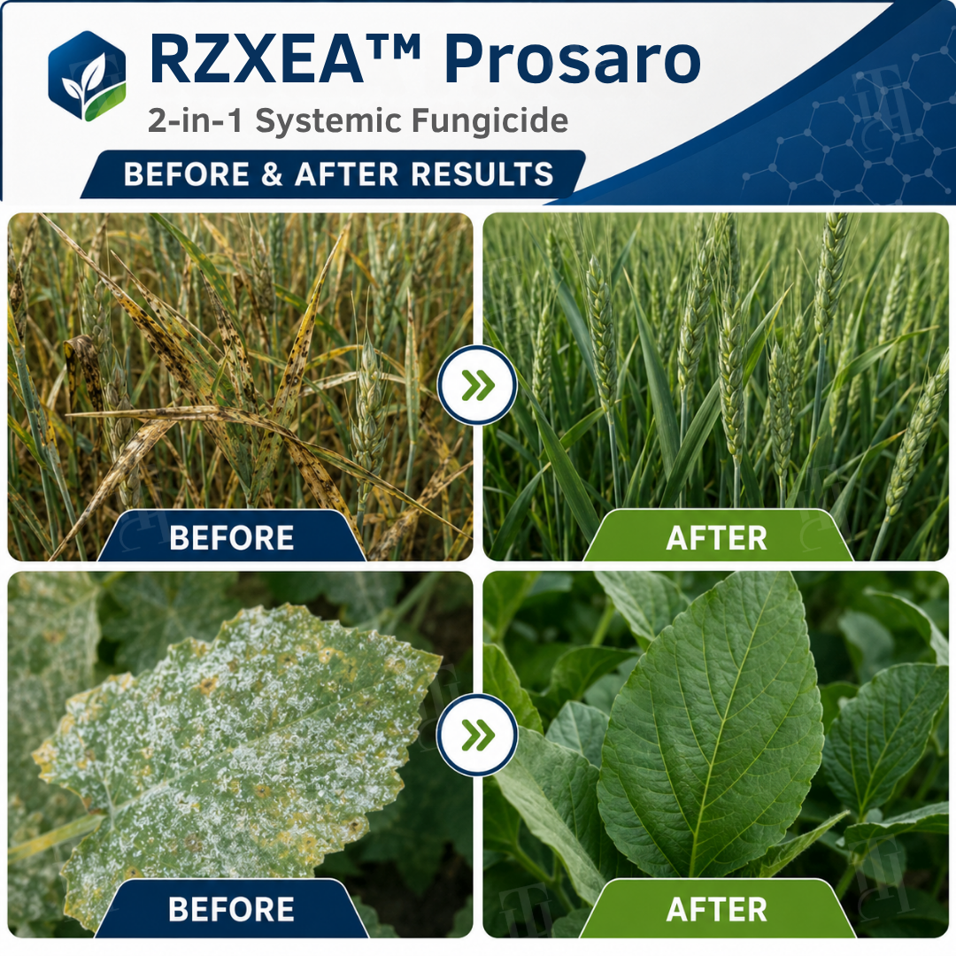 RZXEA™ Prosaro 2-in-1 Systemic Fungicide
