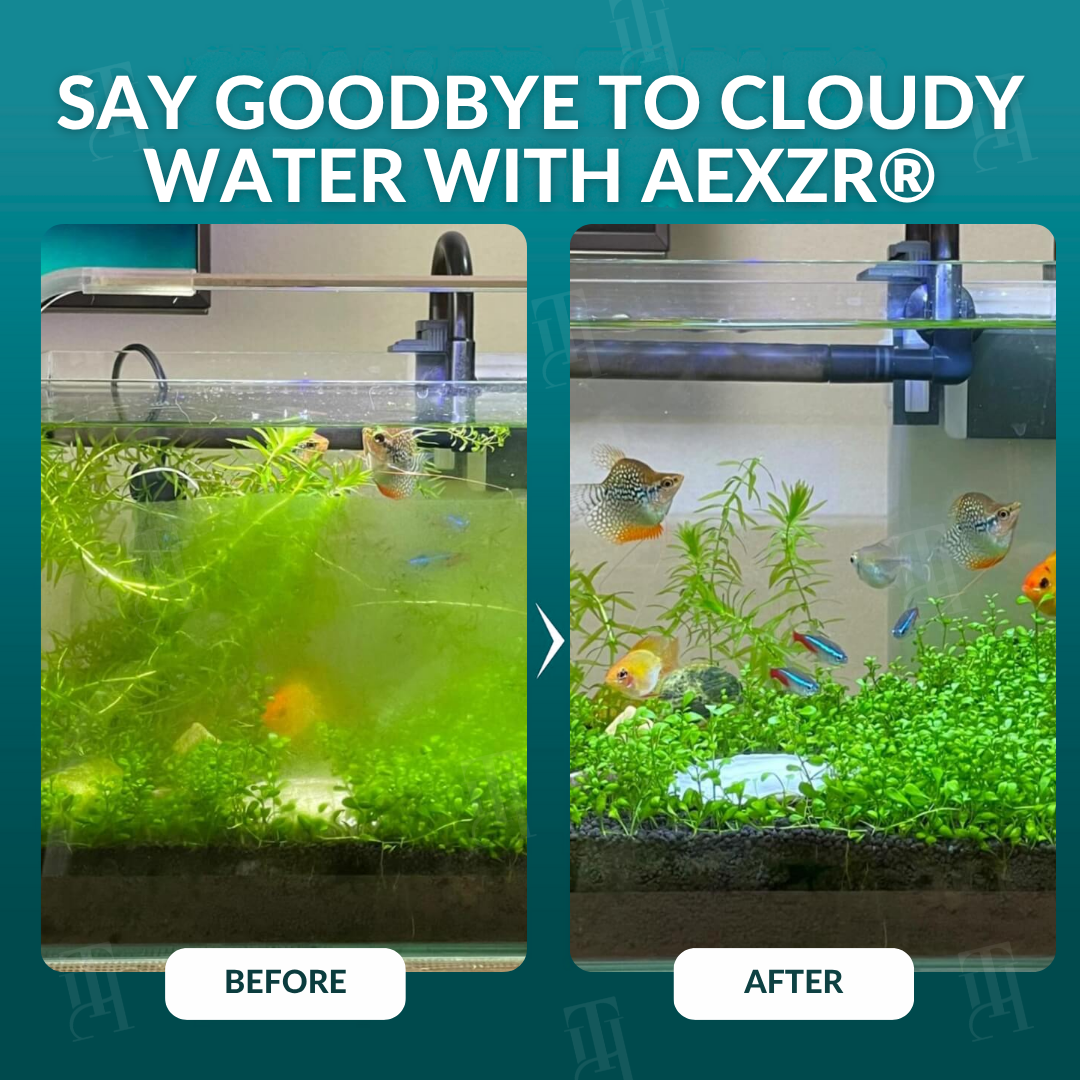 🏆AEXZR® Aquariums Aqua-Guardian Blend✨-Ends Green Water & Reduces Water Changes.🐠