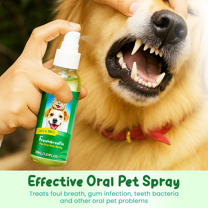 🏆✨RZXEA™ FreshBreath Pet Oral Care Spray – 🦷3-Day Fresh Breath Solution 🐾
