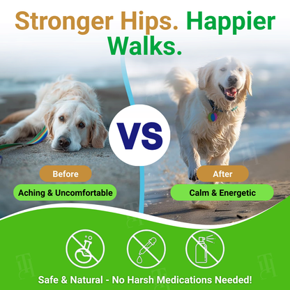 🏆🐕GreenKiss® Advanced Hip & Joint Complex Soft Chews 🦴 Turmeric + HA + Collagen🐕