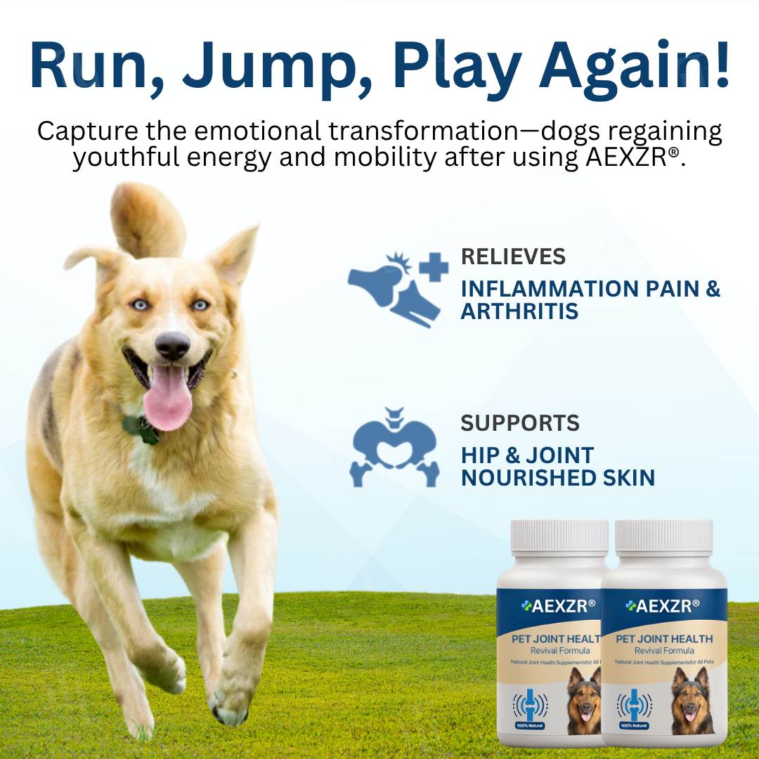 🐕 AEXZR® Pet Joint Health Revival Formula 🦴for Dog & Cat Joint Pain & Stiffness🐾