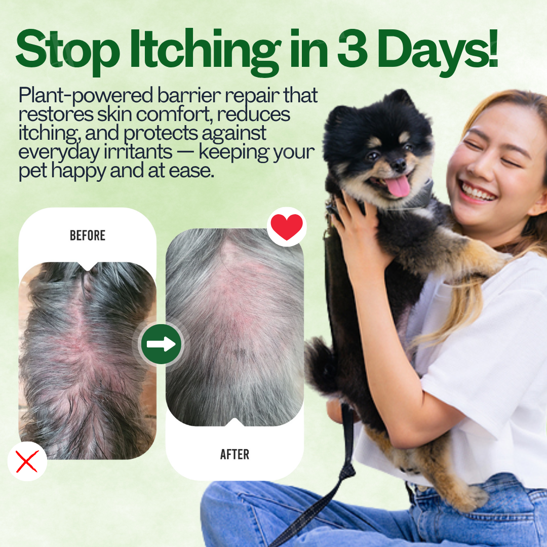 🐾Lotmay® 3 in 1 PhytoBarrier Pet Skin and Coat Care Spray-🧴Soothe, Repair & Protect Pet Skin🐕