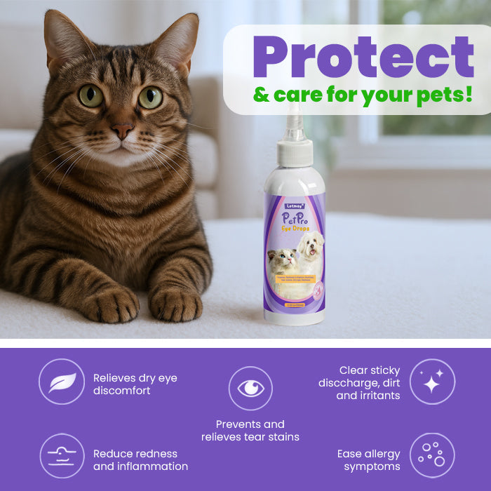 🐾🛡️Lotmay® PetPro Eye Drops-😾Daily L-Lysine Drops for Feline Herpes & Eye Care🐾