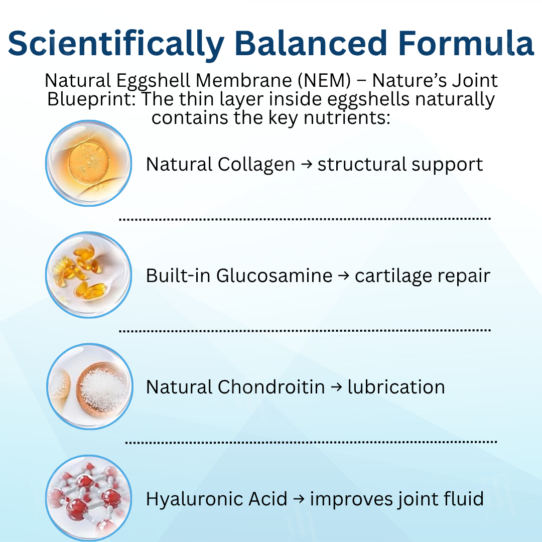 🐕 AEXZR® Pet Joint Health Revival Formula 🦴for Dog & Cat Joint Pain & Stiffness🐾