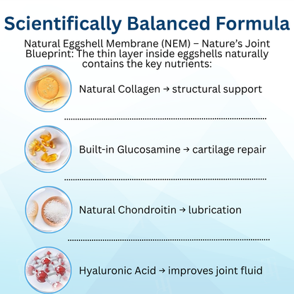 🐕 AEXZR® Pet Joint Health Revival Formula 🦴for Dog & Cat Joint Pain & Stiffness🐾