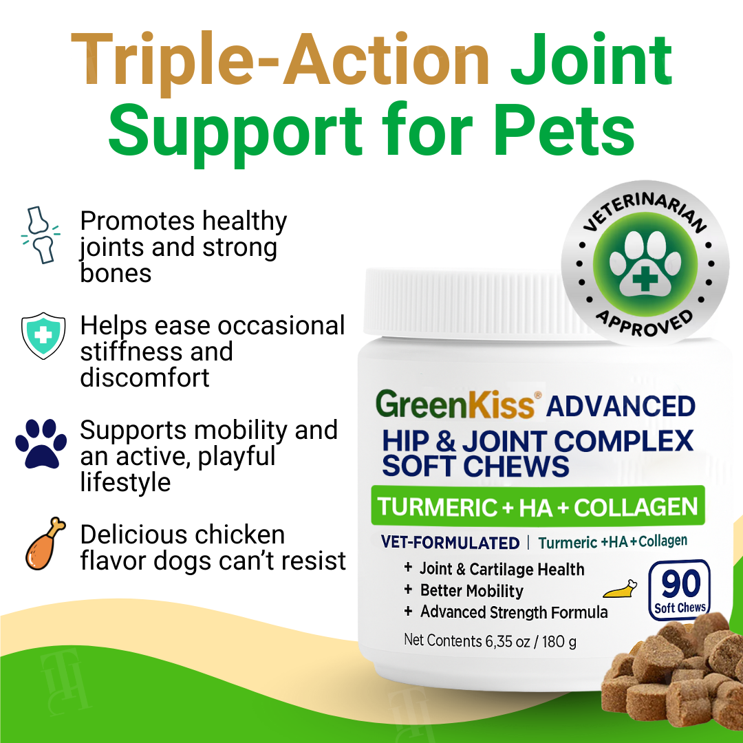 🏆🐕GreenKiss® Advanced Hip & Joint Complex Soft Chews 🦴 Turmeric + HA + Collagen🐕