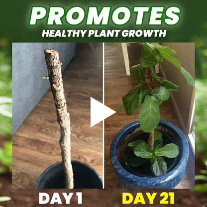 🏆🌱All-in-One Nutrient Boost | AAFQ® Organic Fertilizer Tablets- Slow Release Plant Food for 60 Days⭐️