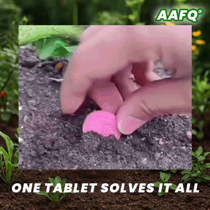 🏆🌱All-in-One Nutrient Boost | AAFQ® Organic Fertilizer Tablets- Slow Release Plant Food for 60 Days⭐️